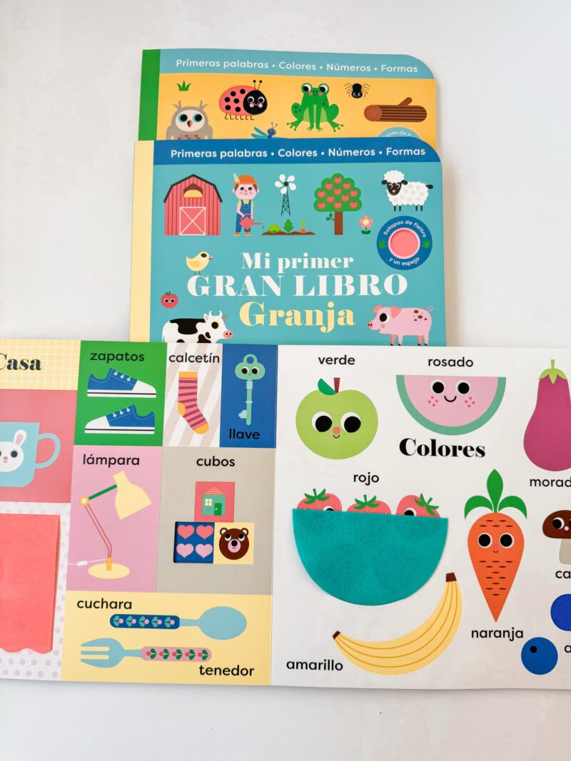 Explora y Aprende: Libros Visuales para Primeros Descubrimientos